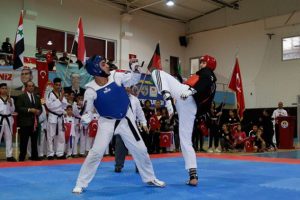 T&uuml;rk d&uuml;nyasının hapkido kardeşliği