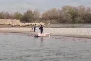 &Ccedil;ayın su seviyesi y&uuml;kselince adacıkta 250 koyunla mahsur kaldı