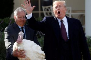 Trump bu yıl da hindileri affetti