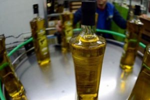 Tariş zeytinyağı alım fiyatını 17 lira a&ccedil;ıkladı