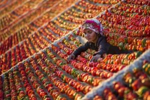 Ulusal fotoğraf yarışmasında Bursa birinciliği kaptı