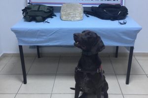 Afganistanlı ş&uuml;pheli 2 kilo esrarla yakalandı