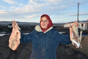 Kars'ta kaz &ccedil;iftliklerinde hummalı &ccedil;alışma