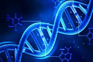 DNA testleri Black Friday kapsamında indirime girdi!