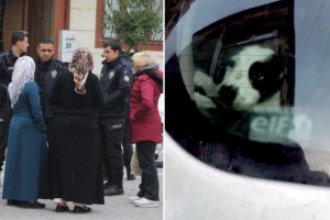 Ara&ccedil;ta havasız kalan k&ouml;pek y&uuml;rekleri sızlattı
