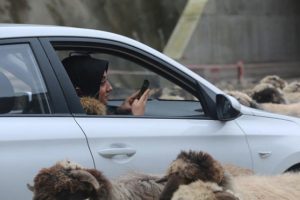 Bir anda ortalarında kalınca b&uuml;y&uuml;k şaşkınlık yaşadılar