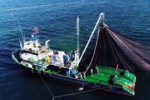 Karadeniz'de balık avı drone ile havadan g&ouml;r&uuml;nt&uuml;lendi