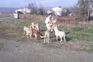 Sokak sokak gezerek k&ouml;pekleri besliyorlar