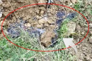 İstanbul Tuzla Belediyesi'nden flaş kimyasal madde a&ccedil;ıklaması