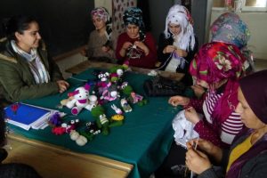 K&ouml;ydeki gen&ccedil; kızlara &ccedil;ocuk gelişimi eğitimi