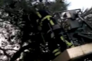 Sığırcık kuşu i&ccedil;in itfaiye seferber oldu