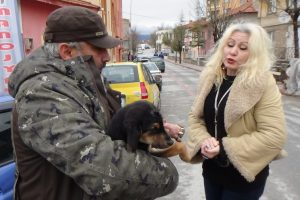 2 aylık k&ouml;pek i&ccedil;in seferberlik