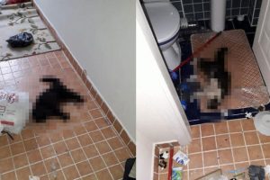 Evden gelen koku vahşeti ortaya &ccedil;ıkardı!