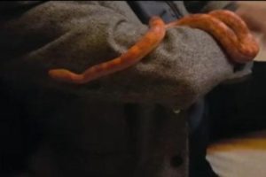 Sosyal medyadan piton satan ikili sanal devriyeye takıldı