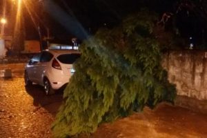 Fırtına nedeniyle seferler 3 g&uuml;n iptal edildi
