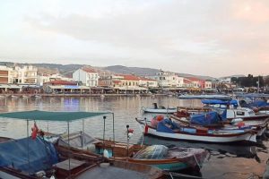 Fo&ccedil;a fotoğraf&ccedil;ıların doğal platosu