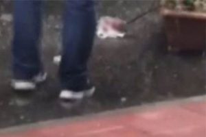 Taşan kanalizasyon'dan bebek cesedi &ccedil;ıktı!