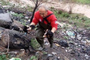 Boğulma tehlikesi ge&ccedil;iren k&ouml;pekleri itfaiye kurtardı