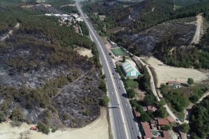 Bursa'da yanan 36 hektar alan ağaçlandırılacak