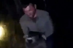 Domuz yavrusunu işkenceyle &ouml;ld&uuml;ren caniye su&ccedil; duyurusu
