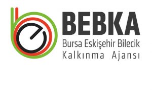 Bursa Eskişehir Bilecik Kalkınma Ajansı'ndan 3 projeye fizibilite desteği