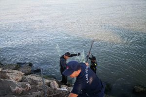 2018'de yasa dışı avcılık yapanlara ceza yağdı