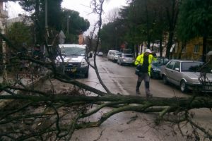Bursa'da devrilen ağaç yolu trafiğe kapattı