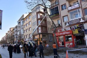 Ağa&ccedil;lar kışa hazırlanıyor