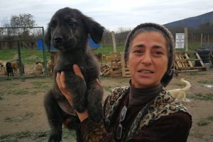 Bursa'da hasta hayvanlar için barınak kurdu