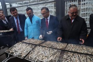 &Uuml;&ccedil; ton hamsi iki saatte t&uuml;kendi