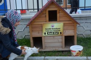 Bursa Gemlik'te  'Kedi Evi' projesi yaygınlaşıyor