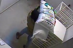 &Ccedil;alıntı plakalı ara&ccedil;la fıstık ve et &ccedil;alan hırsız polisten ka&ccedil;amadı