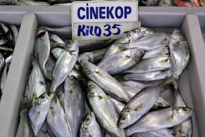 Tezgahın g&ouml;zdesi &ccedil;inekop