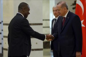 Erdoğan Kamerun B&uuml;y&uuml;kel&ccedil;isini kabul etti