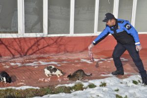 Polis ve &ouml;ğrenciler, sokak hayvanları i&ccedil;in doğaya yem bıraktı