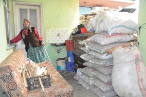 Anne ve yatalak oğlu zehirlendi