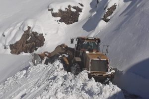 Atlar i&ccedil;in 20 saatlik kurtarma operasyonu
