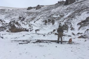 PKK'ya ait, silah m&uuml;himmat ve el bombaları bulundu