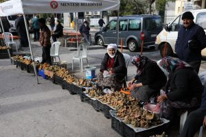 Zehirli mantar uyarısı