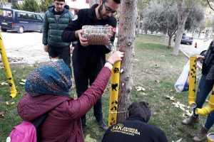 Sokak hayvanları i&ccedil;in alternatif mama kapları hazırlandı