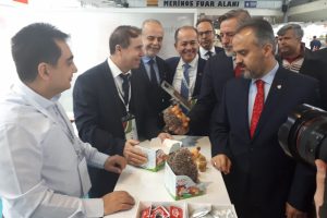 Bursalı 'Kirpiş' &ccedil;ocuklara kestane şekerini sevdirecek