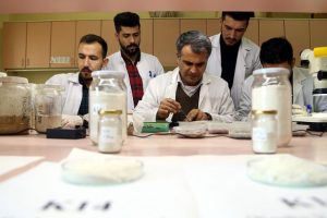 Topraktan b&ouml;cek ilacı geliştirdiler
