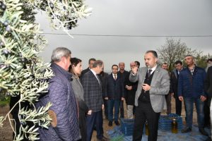 Bursa Büyükşehir Belediye Başkanı Aktaş zeytin toplayan çiftçileri ziyaret etti