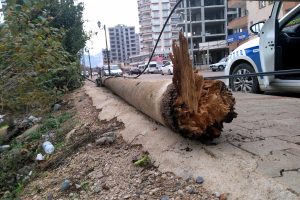 &Uuml;zerine telefon direği devrildi!