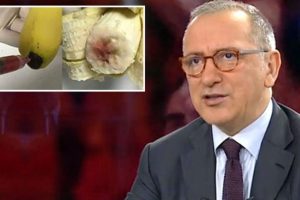 'Muzlara HIV Enjekte Ediliyor' iddiası Altaylı'yı kızdırdı: Lan siz...