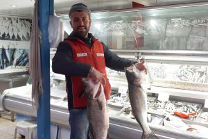 Oltaya takılan levrekler y&uuml;z g&uuml;ld&uuml;rd&uuml;