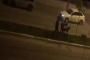 Magandalar k&ouml;pekleri kemerle d&ouml;vd&uuml;
