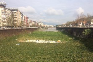 Asi Nehri'nde su s&uuml;mb&uuml;lleri yağışla yine ortaya &ccedil;ıktı