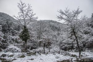 Kazdağları'ndan kar manzaraları