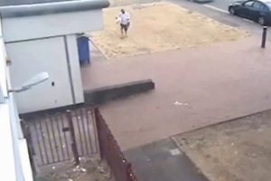 Ara&ccedil;ta sıcaktan &ouml;len k&ouml;peklerini g&ouml;md&uuml;, 'aptallıktan' ceza yedi